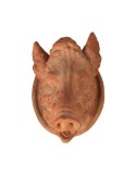 Boar Head in Terracotta